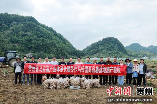 测产专家组完成测产喜获丰收