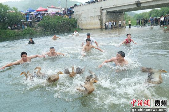 抓鸭子活动