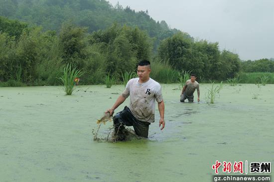 抓鱼活动