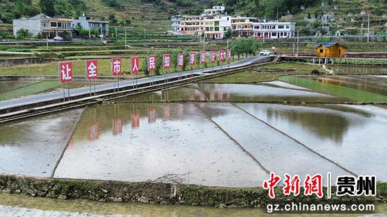 茅坝镇官院坝区大景图 茅坝镇官院坝区大景图