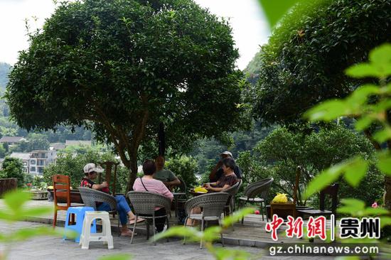 在百里杜鹃管理区戛木管理区大堰村,避暑游客在休闲纳凉。汪沙摄 在百里杜鹃管理区戛木管理区大堰村,避暑游客在休闲纳凉。汪沙摄