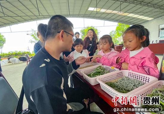 省蚕业研究所专家向小朋友科普养蚕知识。向忆峰摄 省蚕业研究所专家向小朋友科普养蚕知识。向忆峰摄