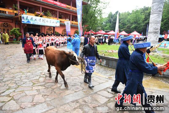 六盘水钟山区月照街道马坝村苗族同胞载歌载舞庆佳节 六盘水钟山区月照街道马坝村苗族同胞载歌载舞庆佳节