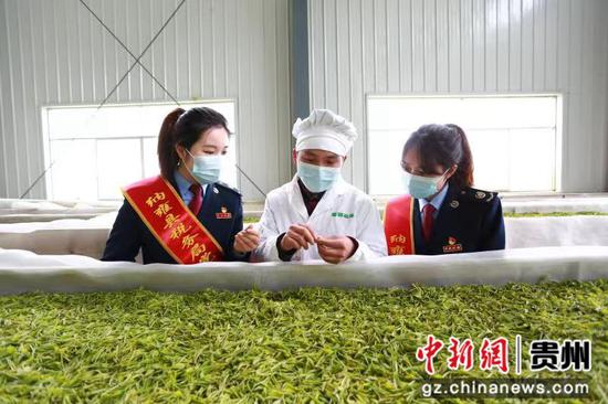毕节市税务局青年志愿队走进田间地头，深入茶农、茶企，宣传讲解惠农惠企政策，服务茶业发展，助力乡村振兴。图为税务人员在贵州雾翠茗香生态农业开发有限公司帮助解决企业困难，打开茶叶销路。赵念祖