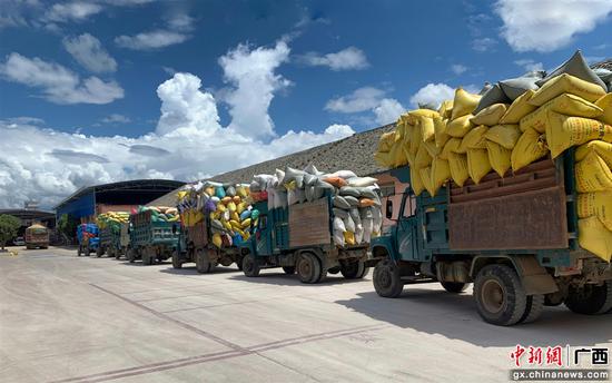 图为南宁分行信贷支持粮食企业开展粮食收购