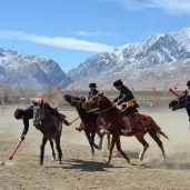在新疆，马球比赛何以成为“勇与智”的见证？