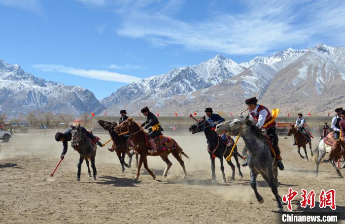 在新疆，马球比赛何以成为“勇与智”的见证？