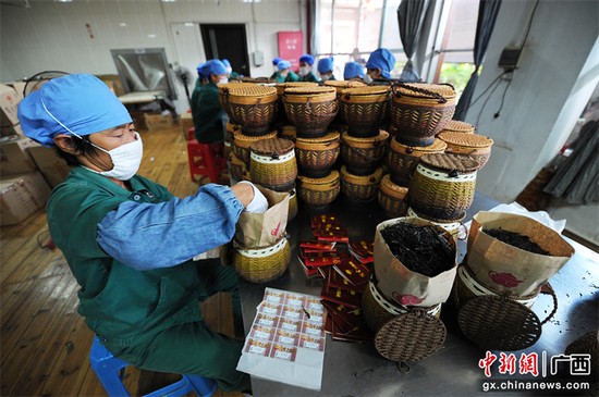图为工人在广西梧州市一家六堡茶生产车间里将茶叶分类进行包装。 拥有1500多年历史的广西梧州六堡茶以其独特的“红、浓、陈、醇”蜚声海内外。梧州市委宣传部供图