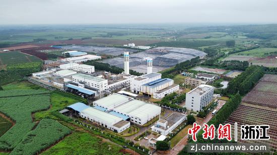 粤绿公司鸟瞰图。物产中大供图