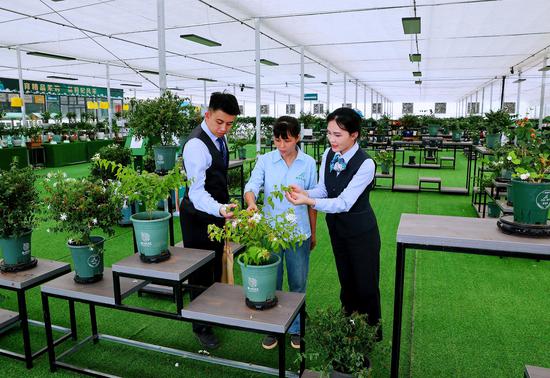 农业银行客户经理向种植户了解茉莉花盆栽种植情况。李浩铭 摄