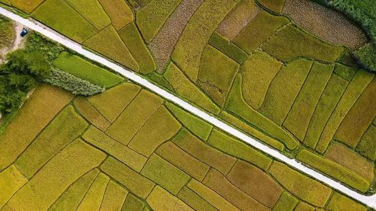 防城港市上思县高标准农田建设项目。