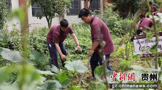 学生在“实践园”劳动。张海生摄 学生在“实践园”劳动。张海生摄