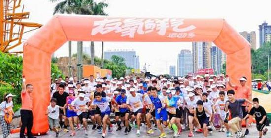 主办方 供图 主办方 供图