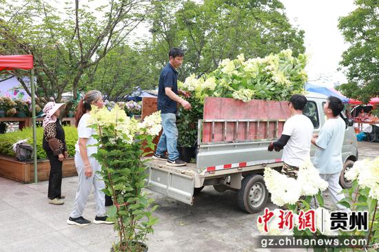 工人们正在把鲜花装车送货 余雷 摄 工人们正在把鲜花装车送货 余雷 摄