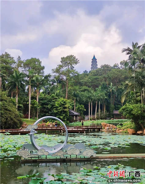 图为活动现场展出的水生花卉。青秀山风景区 供图 图为活动现场展出的水生花卉。青秀山风景区 供图