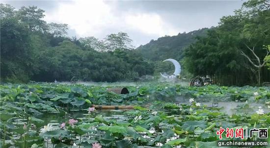 图为活动现场展出的水生花卉。青秀山风景区 供图 图为活动现场展出的水生花卉。青秀山风景区 供图