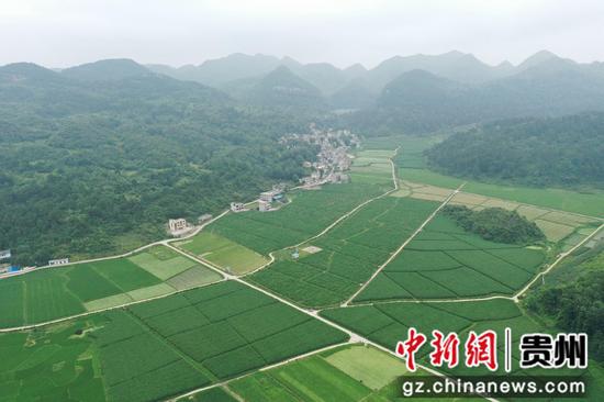 长顺县示范性健康菜园创建基地