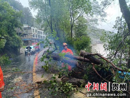 三穗闻“汛”而动全力做好“抗汛保民生”工作 三穗闻“汛”而动全力做好“抗汛保民生”工作