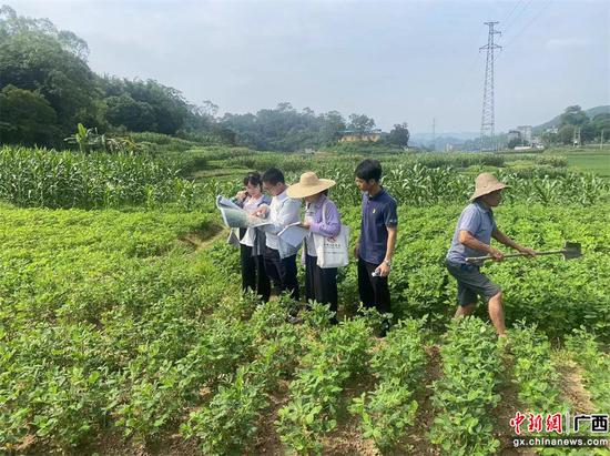 西部计划志愿者张连珍和青年突击队队员组织农户现场确认征地面积,核对测量数据(左一张连珍) 西部计划志愿者张连珍和青年突击队队员组织农户现场确认征地面积,核对测量数据(左一张连珍)