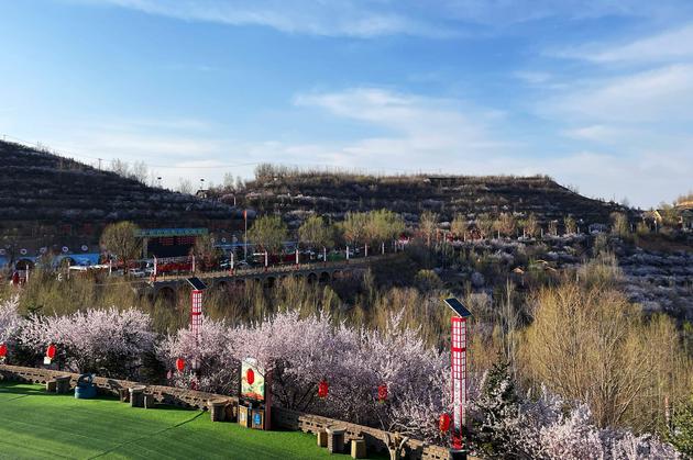 4月24日,从龙王坝窑洞宾馆远眺,朵朵桃花与梯田相衬下,满园春色尽收眼底。 中新社记者 李佩珊 摄 4月24日,从龙王坝窑洞宾馆远眺,朵朵桃花与梯田相衬下,满园春色尽收眼底。 中新社记者 李佩珊 摄