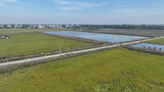 北海市整市推进高标准农田建设项目。