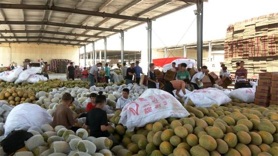 2025年11月17日全国首要批发商业商场苹果价格行情