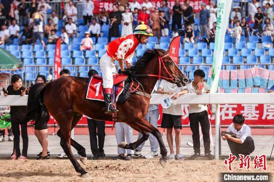 7月13日,2024中国·三都水晶葡萄旅游文化节——乡村赛马活动,在贵州省黔南布依族苗族自治州三都水族自治县西部赛马城举行,吸引众多游人前来观看。图为骑手在比赛中。中新社记者 瞿宏伦 摄 7月13日,2024中国·三都水晶葡萄旅游文化节——乡村赛马活动,在贵州省黔南布依族苗族自治州三都水族自治县西部赛马城举行,吸引众多游人前来观看。图为骑手在比赛中。中新社记者 瞿宏伦 摄