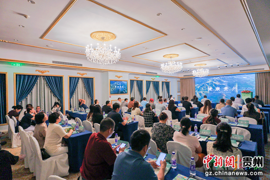 图为推介活动现场。活动主办方供图 图为推介活动现场。活动主办方供图