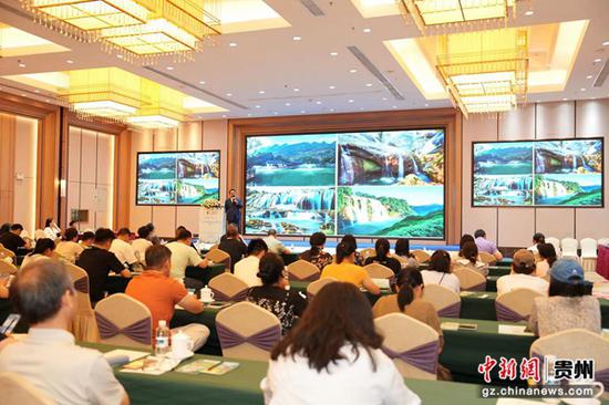 推介会现场。黄喻菲 摄 推介会现场。黄喻菲 摄