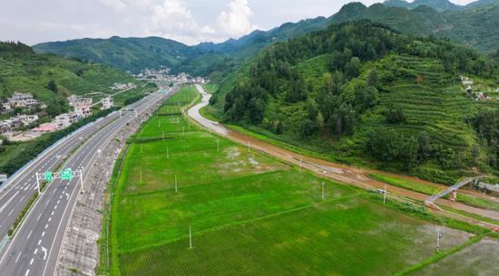 三岔河流经的炉山镇公贤社区,“旱改水”高标准水田成为一道风景。(何欢 摄) 三岔河流经的炉山镇公贤社区,“旱改水”高标准水田成为一道风景。(何欢 摄)