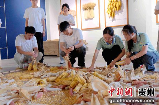 大学生在绥阳县省级劳动综合实践基地开展社会实践 大学生在绥阳县省级劳动综合实践基地开展社会实践