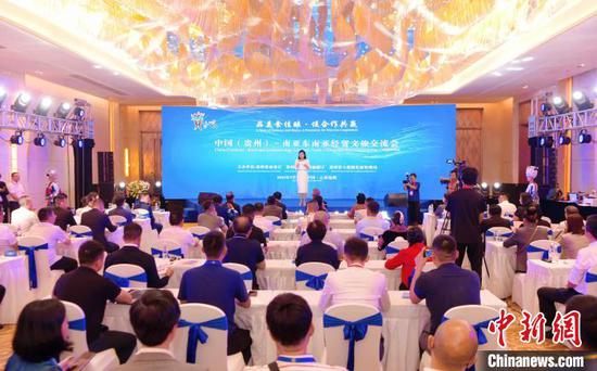 图为交流会现场。主办方 供图 图为交流会现场。主办方 供图