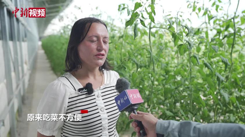 新疆：我在高原种蔬菜
