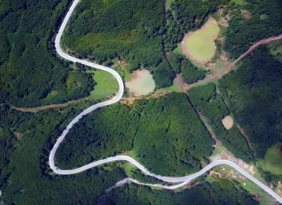 沙子坡林区。 何欢 摄 沙子坡林区。 何欢 摄