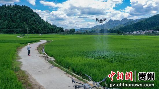 植保无人机在务川自治县黄都镇东山坝区准备为水稻喷洒农药。田东摄 植保无人机在务川自治县黄都镇东山坝区准备为水稻喷洒农药。田东摄