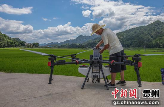 植保无人机操作人员在务川自治县黄都镇东山坝区检查设备,准备为水稻喷洒农药。田东摄 植保无人机操作人员在务川自治县黄都镇东山坝区检查设备,准备为水稻喷洒农药。田东摄