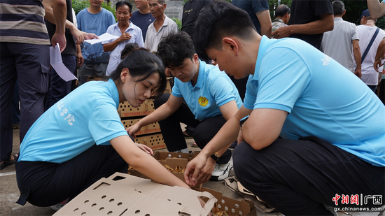 博士团成员协助发放鸡苗 博士团成员协助发放鸡苗