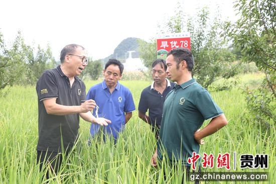 农技人员正在给群众讲解旱稻抽穗期管护方法