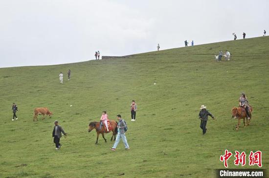 8月3日，贵州省六盘水市的乌蒙大草原景区吸引游客前来避暑游玩。乌蒙大草原景区是中国西南地区海拔最高、面积最大的高原草场之一，最高海拔为2857米，年平均气温为11.1℃，是夏日避暑的好去处。中新社记者 陈楚红 摄