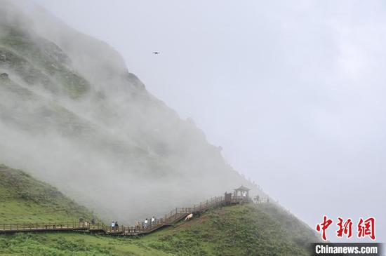 8月3日，贵州省六盘水市的乌蒙大草原景区吸引游客前来避暑游玩。乌蒙大草原景区是中国西南地区海拔最高、面积最大的高原草场之一，最高海拔为2857米，年平均气温为11.1℃，是夏日避暑的好去处。中新社记者 陈楚红 摄