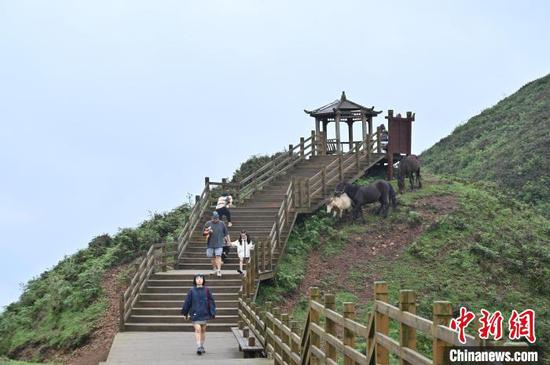 8月3日，贵州省六盘水市的乌蒙大草原景区吸引游客前来避暑游玩。乌蒙大草原景区是中国西南地区海拔最高、面积最大的高原草场之一，最高海拔为2857米，年平均气温为11.1℃，是夏日避暑的好去处。中新社记者 陈楚红 摄