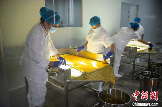图为工人在贵州省从江县一家企业的百香果深加工车间生产线上忙碌。吴德军 摄 图为工人在贵州省从江县一家企业的百香果深加工车间生产线上忙碌。吴德军 摄