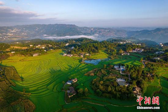 8月7日，航拍贵州黔西市锦星镇洪湖村梯田。