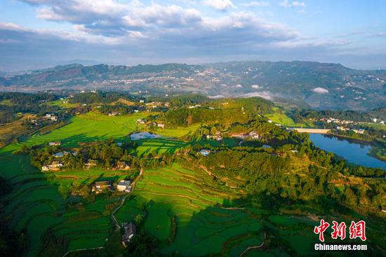 8月7日，航拍贵州黔西市锦星镇洪湖村梯田。