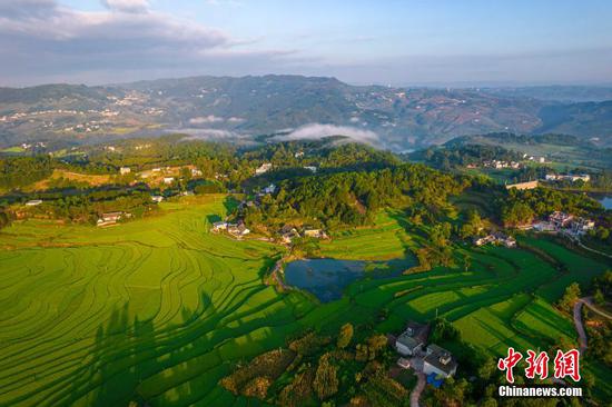 8月7日，航拍贵州黔西市锦星镇洪湖村梯田。