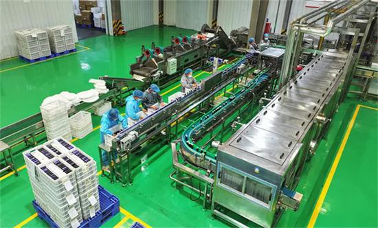 刺梨加工车间。贵州日报天眼新闻记者 尚宇杰/摄