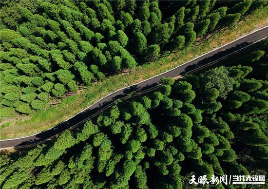 息烽县国有林场,海拔在1100-1200米之间,夏季平均气温25℃-28℃左右。 息烽县国有林场,海拔在1100-1200米之间,夏季平均气温25℃-28℃左右。