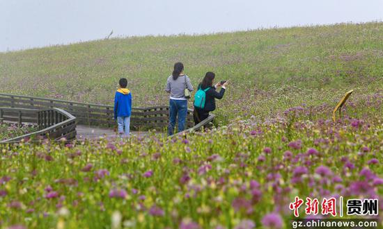 8月17日,游客在贵州省毕节市赫章县大韭菜坪景区观赏游玩。