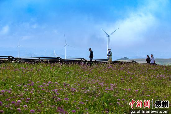 8月17日,游客在贵州省毕节市赫章县大韭菜坪景区观赏游玩。