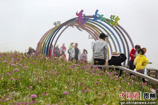 8月17日,游客在贵州省毕节市赫章县大韭菜坪景区观赏游玩。